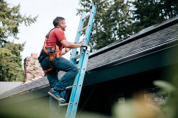 Best Gutter Replacement  in Fairview, GA